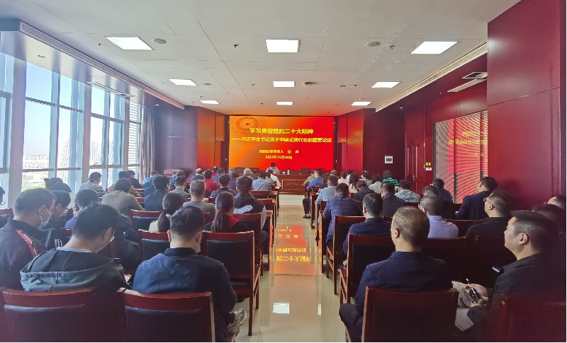 紧跟核心强忠诚 在深学细悟中坚定信仰信念 ——乐动网站网页版-乐动online(中国)
负责人汪洋同志为全体党员讲授主题教育专题党课